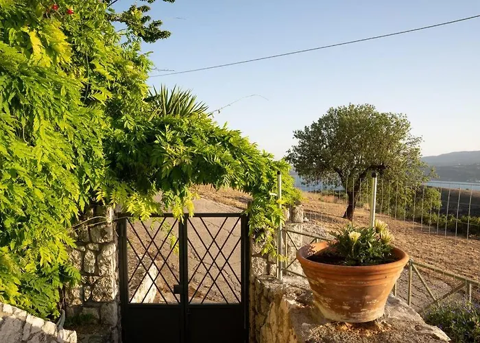 Brian & Dora's House In Kontogourata *